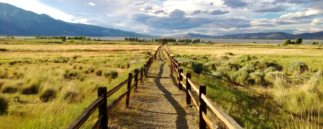 wv-walkway New Dharma in Washoe Valley